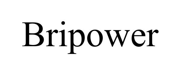 Trademark Logo BRIPOWER