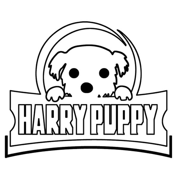  HARRY PUPPY