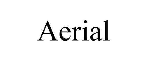 Trademark Logo AERIAL