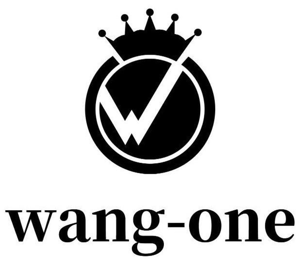  WANG-ONE