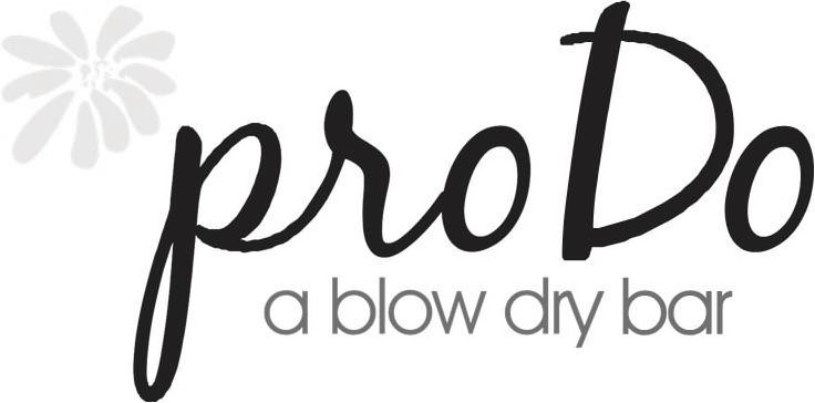 Trademark Logo PRO DO A BLOW DRY BAR