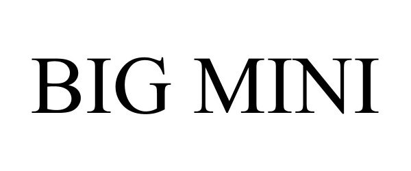 Trademark Logo BIG MINI