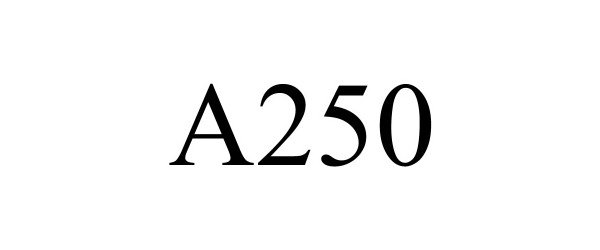 Trademark Logo A250
