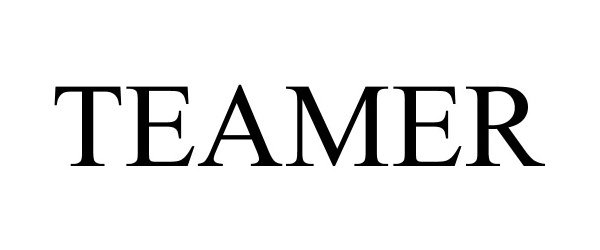 Trademark Logo TEAMER