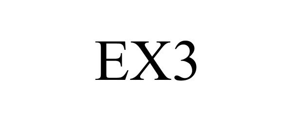  EX3