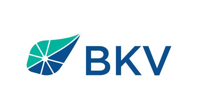 Trademark Logo BKV