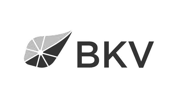 BKV