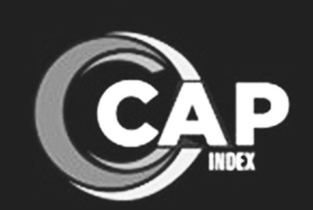  CAP INDEX