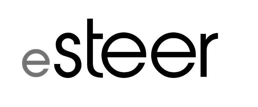 Trademark Logo ESTEER