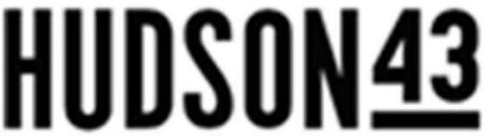 Trademark Logo HUDSON43