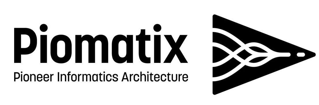  PIOMATIX PIONEER INFORMATICS ARCHITECTURE