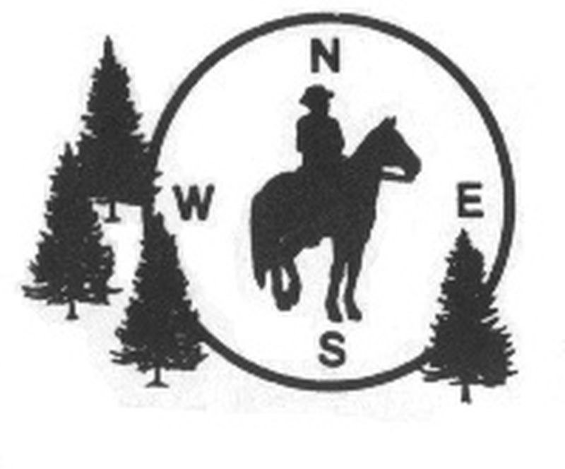 Trademark Logo N E S W