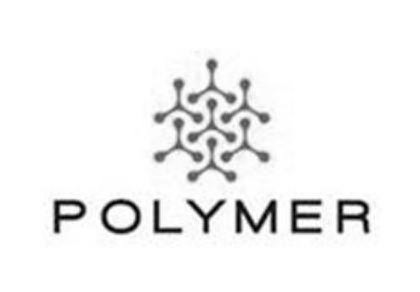 Trademark Logo POLYMER