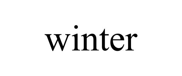 Trademark Logo WINTER