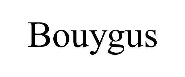  BOUYGUS