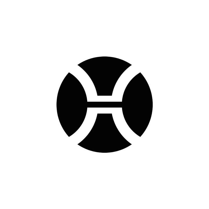 Trademark Logo X