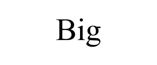 Trademark Logo BIG