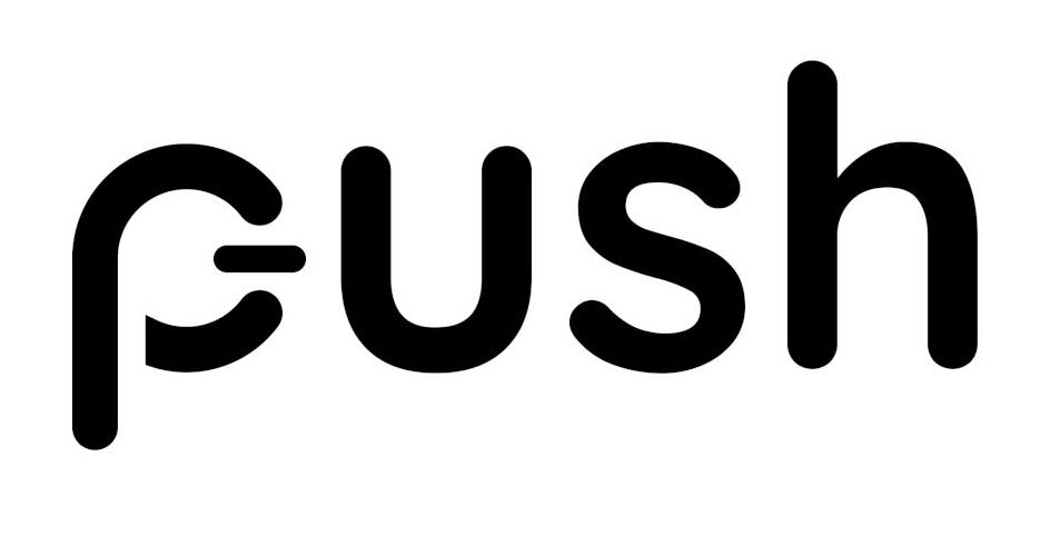 Trademark Logo PUSH