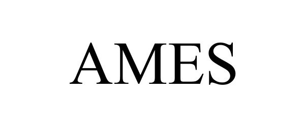 Trademark Logo AMES