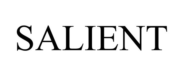 Trademark Logo SALIENT