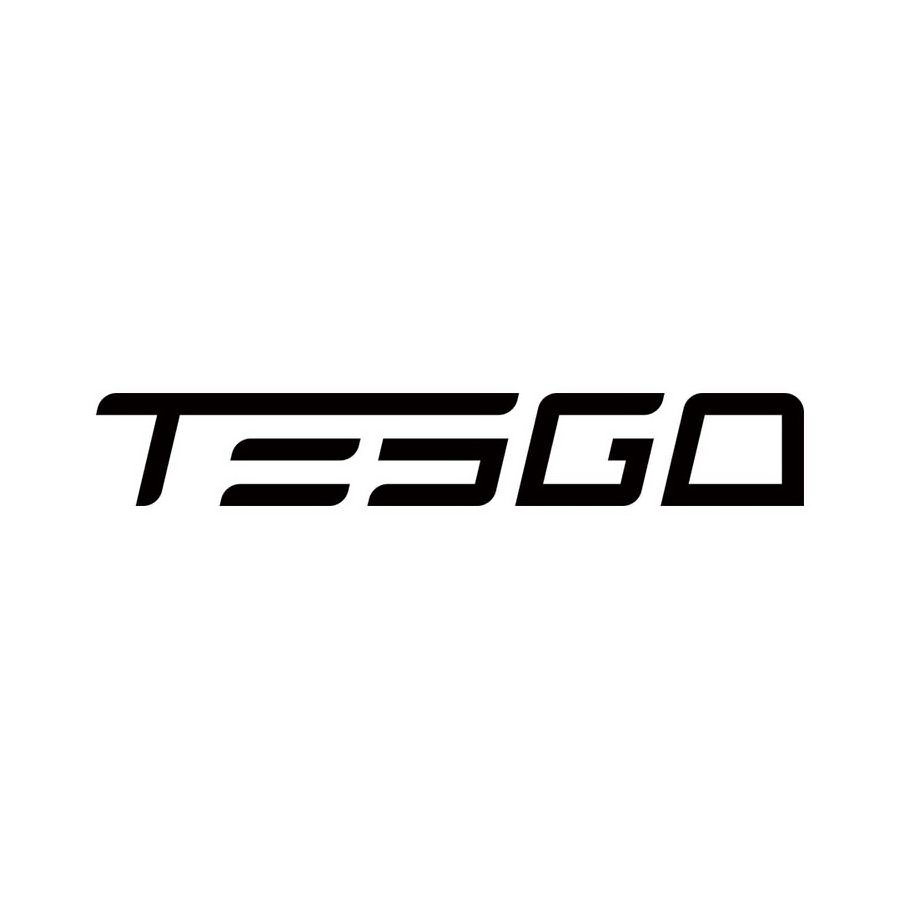 Trademark Logo TESGO