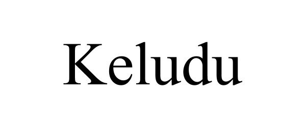 Trademark Logo KELUDU