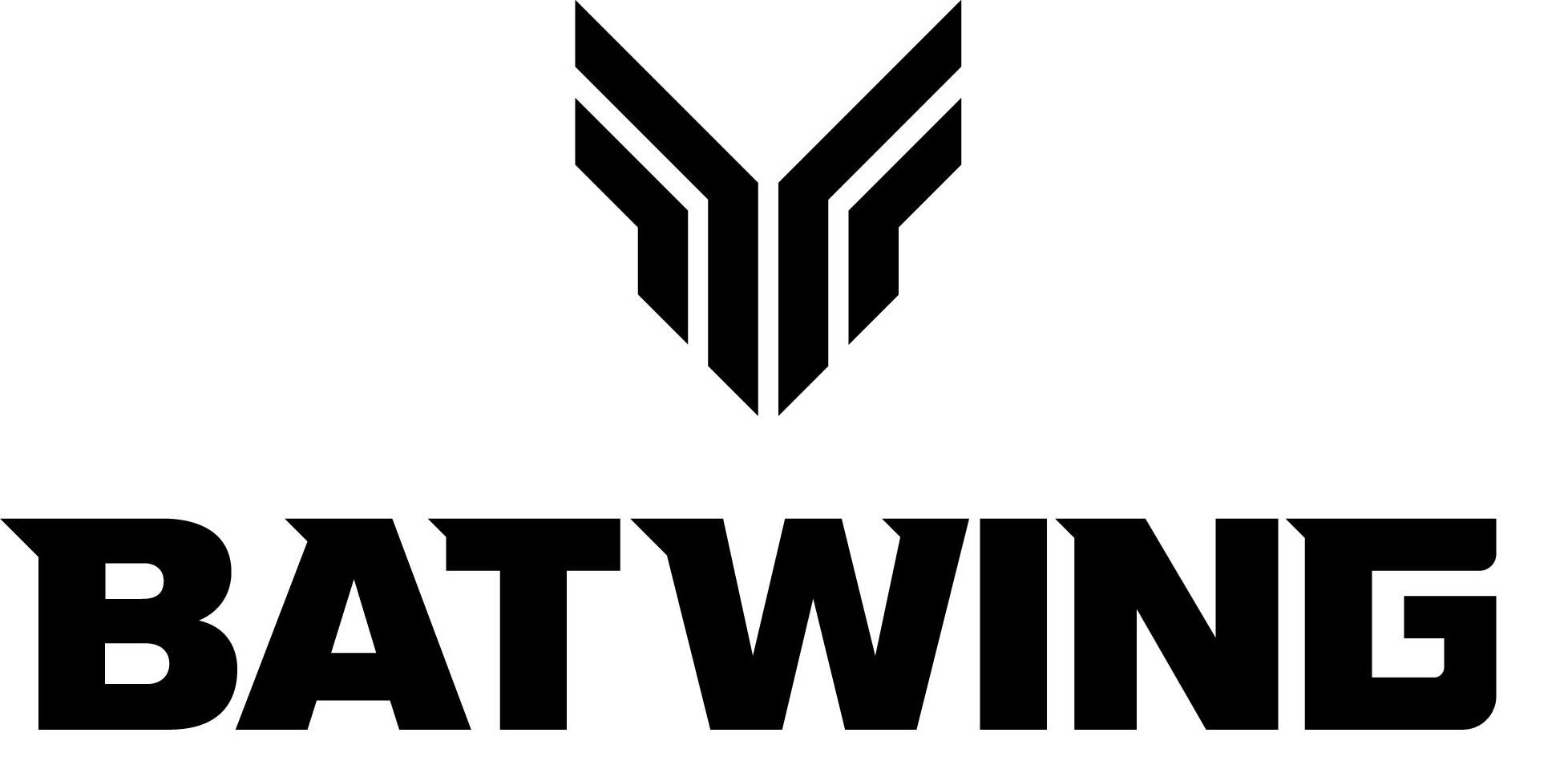  BATWING