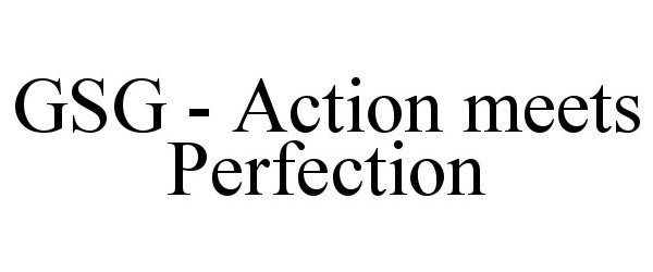  GSG - ACTION MEETS PERFECTION