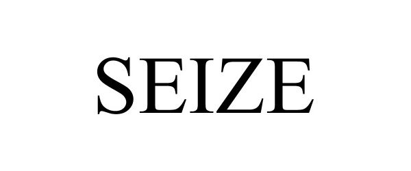 Trademark Logo SEIZE