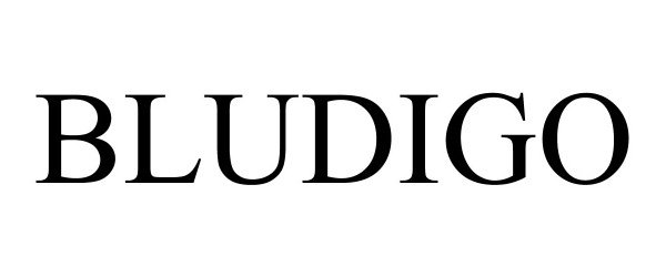 Trademark Logo BLUDIGO