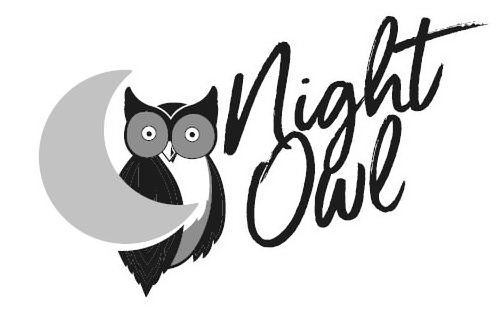 Trademark Logo NIGHT OWL