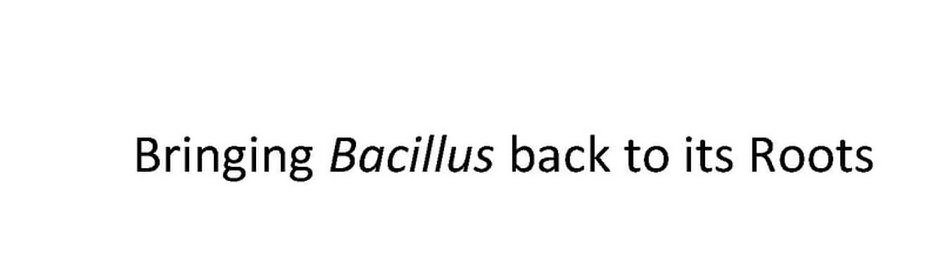  BRINGING BACILLUS BACK TO ITS ROOTS