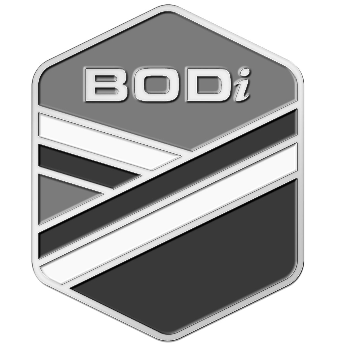 Trademark Logo BODI