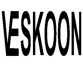  VESKOON