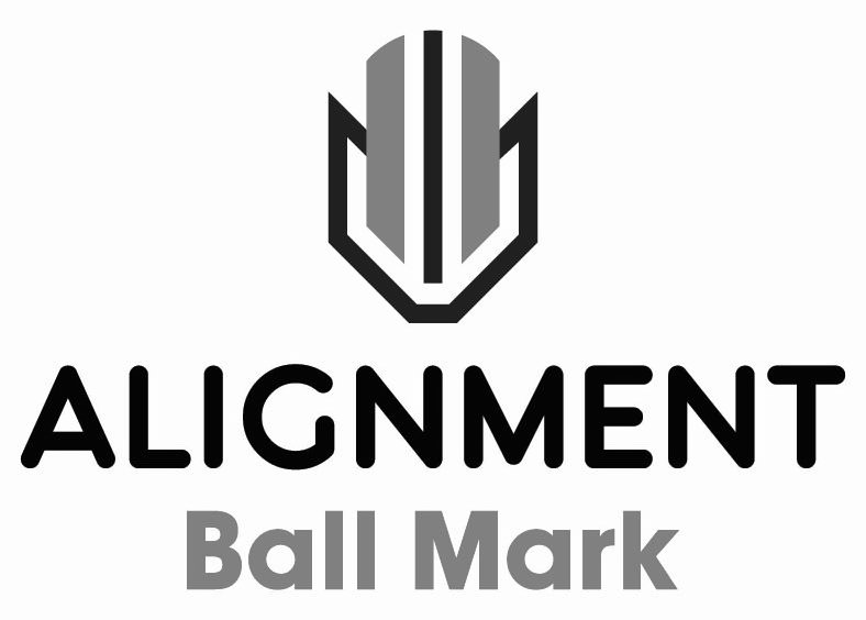  ALIGNMENT BALL MARK