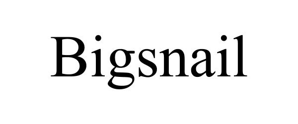  BIGSNAIL