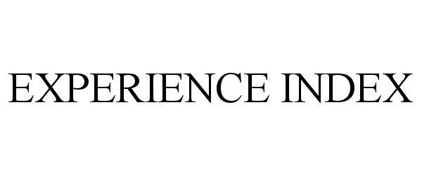  EXPERIENCE INDEX