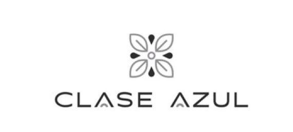 Trademark Logo CLASE AZUL