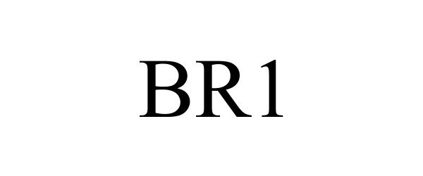 Trademark Logo BR1