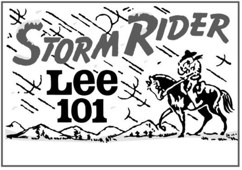 Trademark Logo STORM RIDER LEE 101