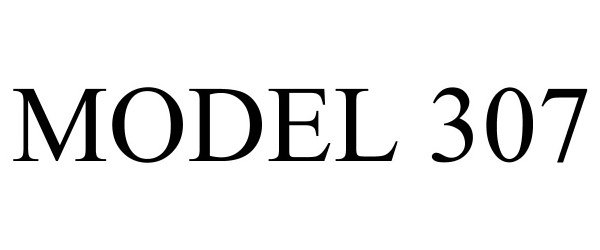 Trademark Logo MODEL 307