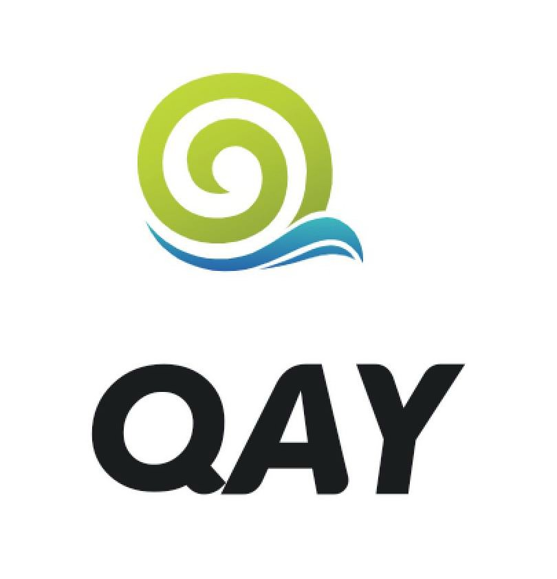 Trademark Logo QAY