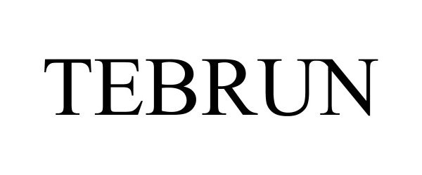 Trademark Logo TEBRUN