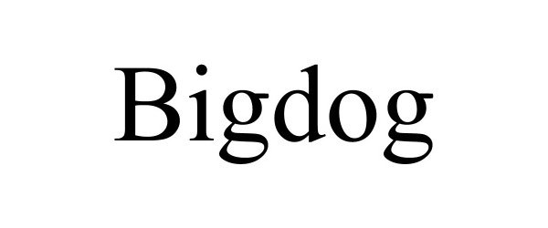  BIGDOG