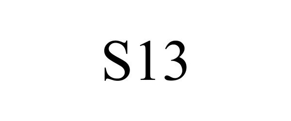Trademark Logo S13