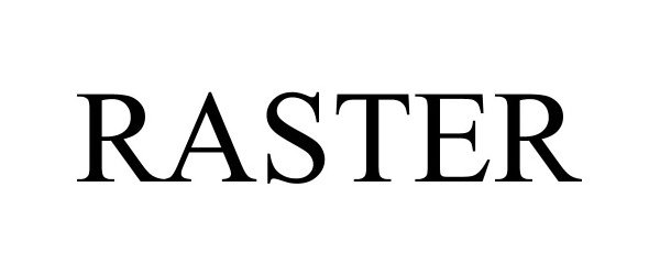 Trademark Logo RASTER