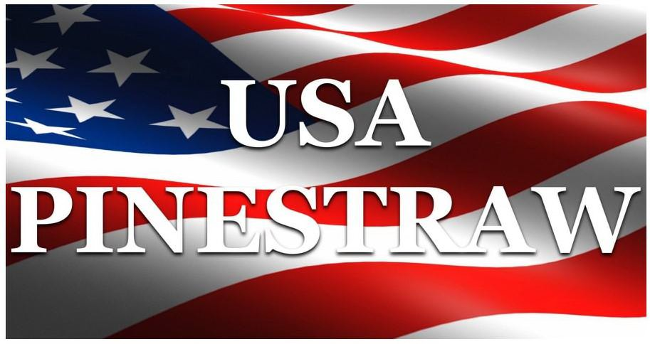 Trademark Logo USA PINESTRAW