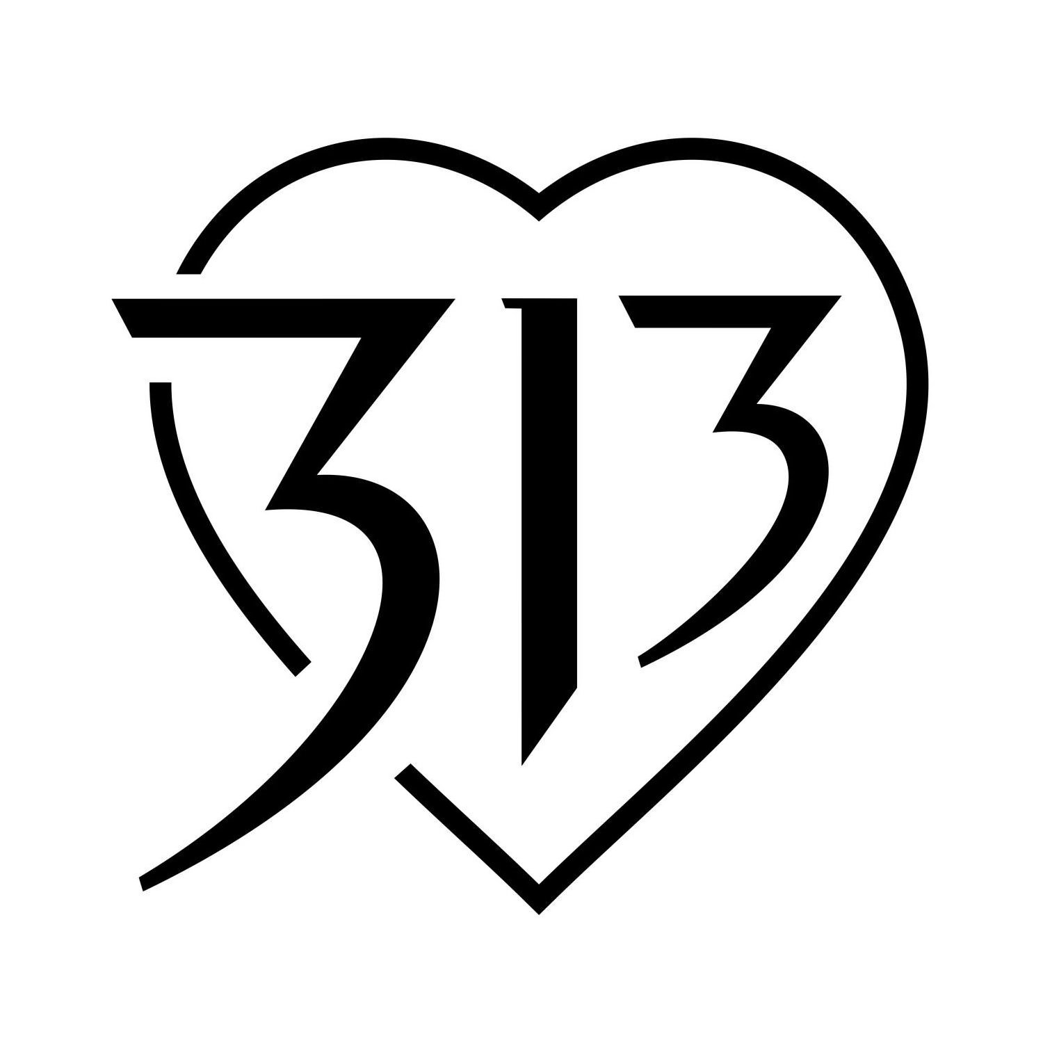 Trademark Logo 313