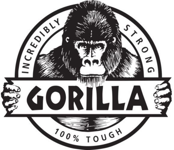 20 Questions With The Gorilla Glue CEO and Darden Alumnus Mark