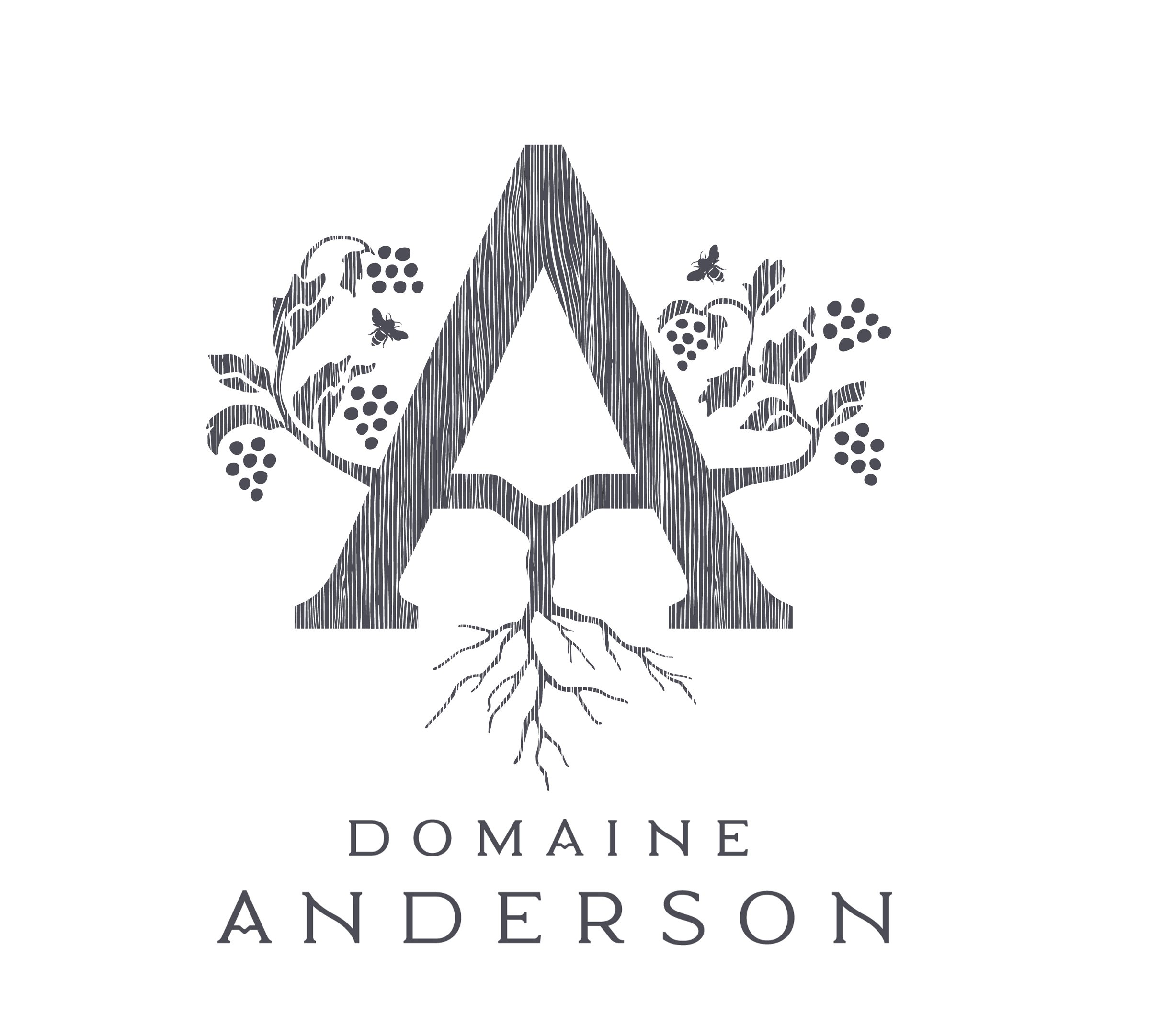  A DOMAINE ANDERSON